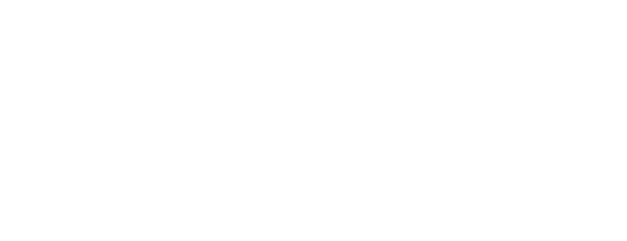 CAD/CAM Dental Esthetic
